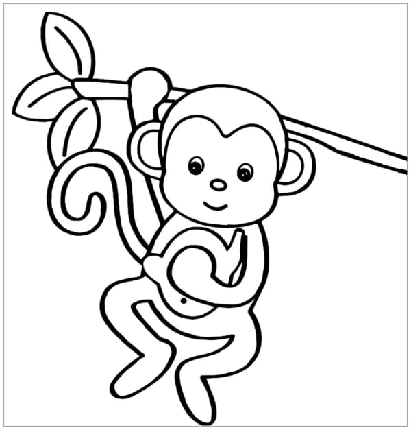 10 desenho simples de macaco para pintar Just Color