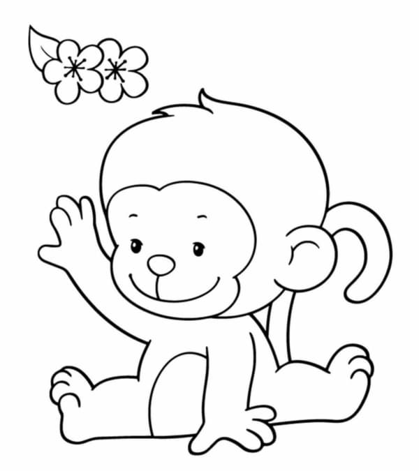 3 atividade de macaco MomJunction