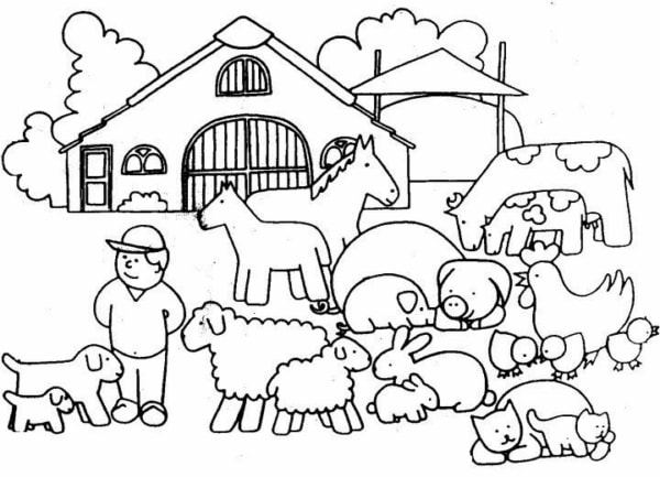 31 desenh de animais da fazenda para colorir Pinterest
