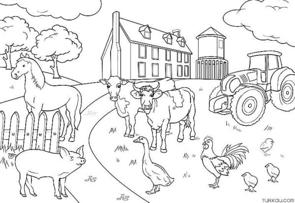 38 atividade fazenda com animais para pintar Turkau