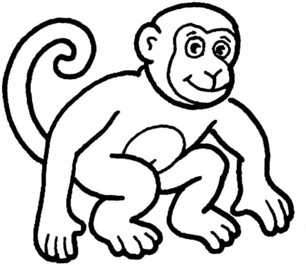 5 atividade de macaco para pintar Coloring Pages