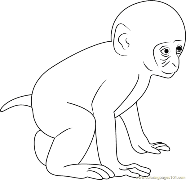 9 desenho macaco para pintar ColoringPages101