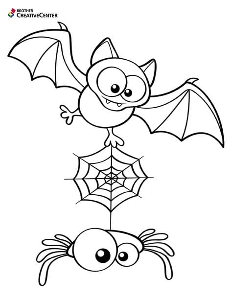 aranha e morcego