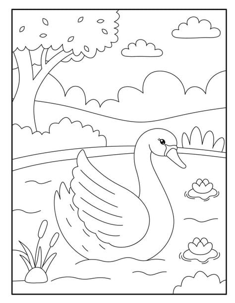 cisne para colorir