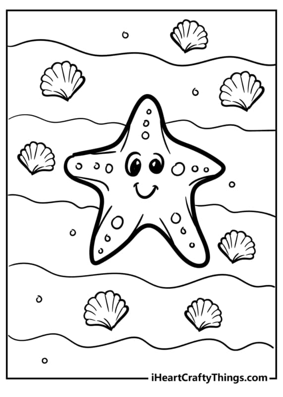 estrela marinha