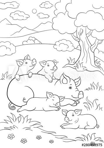 familia de porcos