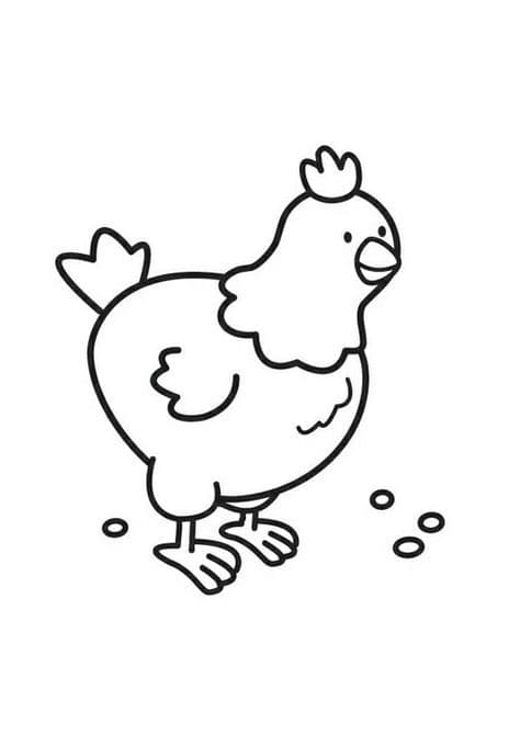 imagem de galinha