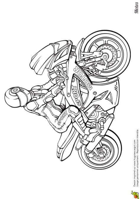 moto esport