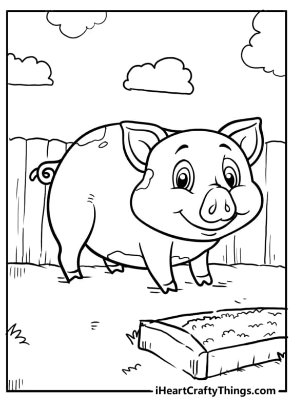 porco desenho