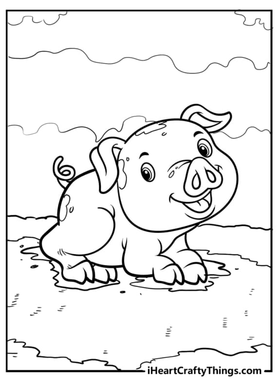 porco lama