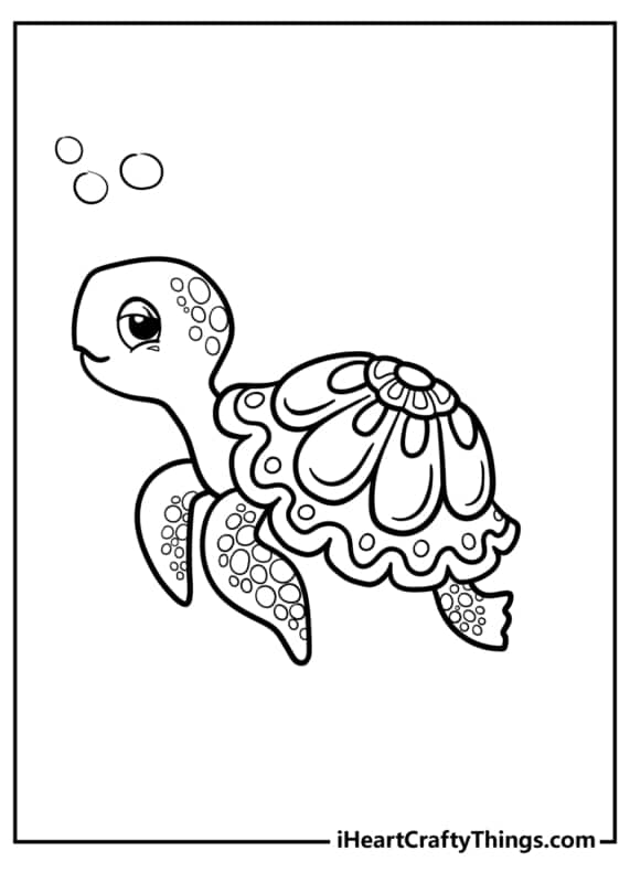 tartaruga animais marinhos