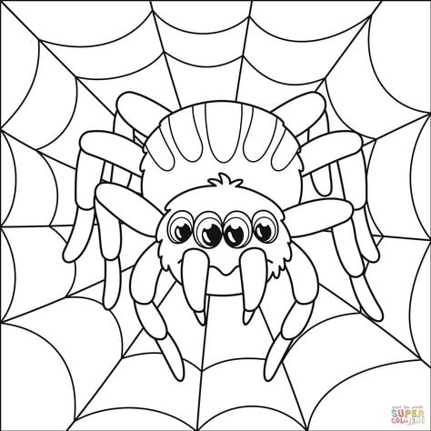 tipo de aranha para colorir