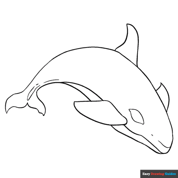 17 atividade baleia orca Easy Drawing Guides
