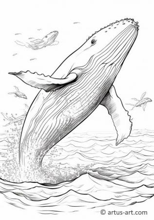 38 desenho de baleia jubarte Artus Art Malvorlagen