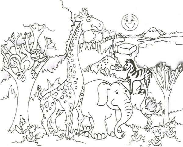 10 atividade com animais selvagens para pintar Get Coloring Pages