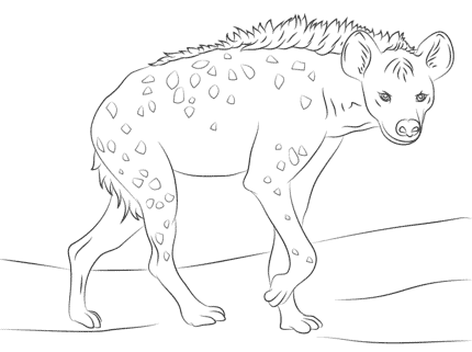 21 desenho para colorir hiena Pinterest