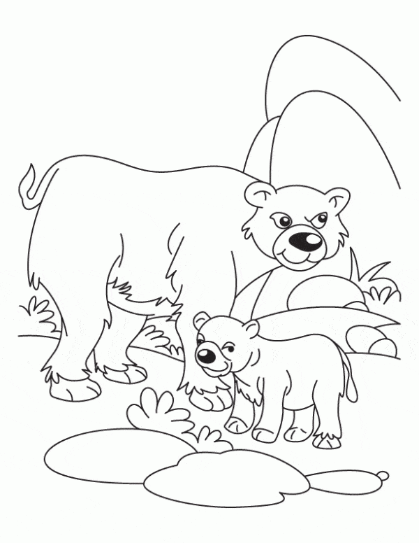 5 ursos para colorir Coloring Home