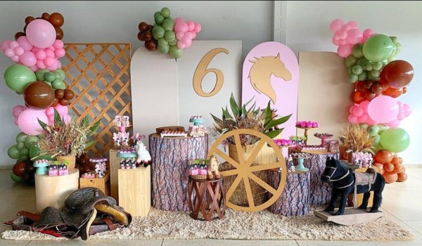 9 decoração rústica de festa country menina @fazendoafestaaa