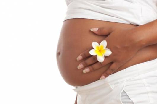 dicas de ensaio gravidez com flores