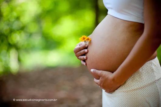 foto barriga grávida com flor