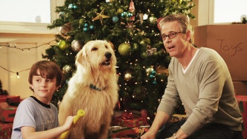 filmes de Natal infantis natal bom pra cachorro