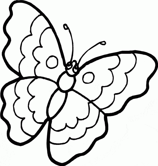 Desenho de borboleta para colorir