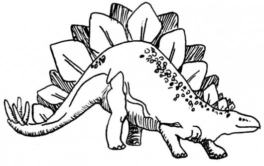 Desenho Para Colorir dinossauro - tiranossauro - Imagens Grátis Para  Imprimir - img 27625