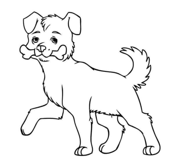 Desenho Para Colorir cachorro - Imagens Grátis Para Imprimir - img 17537