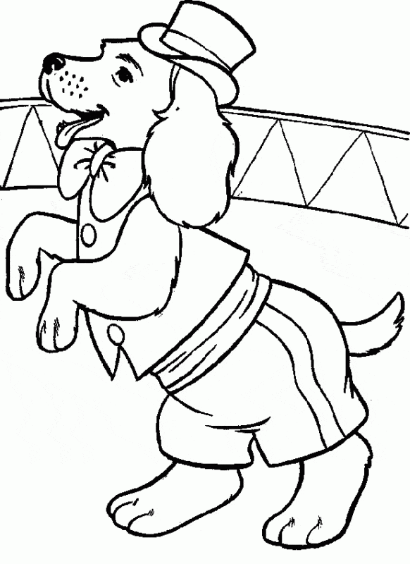 Cachorro para colorir – 60 desenhos adoráveis para imprimir!  Animais para  colorir, Desenhos infantis para colorir, Desenho de cachorro