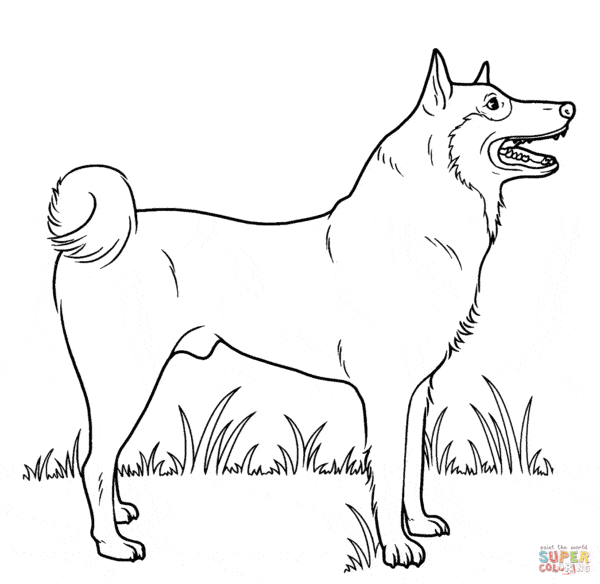 50+ Desenhos de Cachorrinhos para colorir - Como fazer em casa