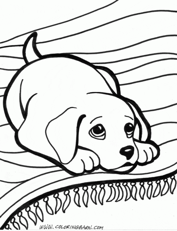 Cachorro para colorir – 60 desenhos adoráveis para imprimir!  Animais para  colorir, Desenhos infantis para colorir, Desenho de cachorro