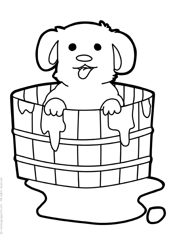 Cachorro para colorir em balde com água