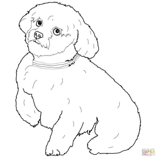 Desenho de cachorro para colorir