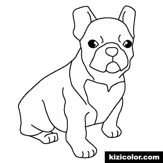 Desenho de cachorro para colorir