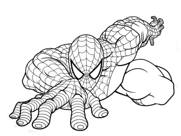 Homem-aranha em plena natureza - Spiderman - Just Color Crianças : Páginas  para colorir para crianças