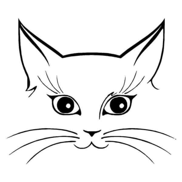 desenho simples de face de gato