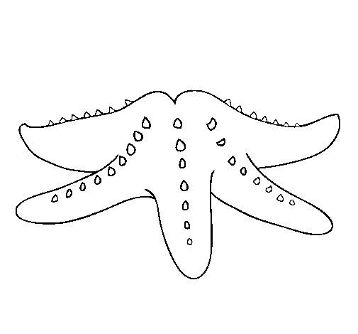 desenho de estrela do mar para imprimir