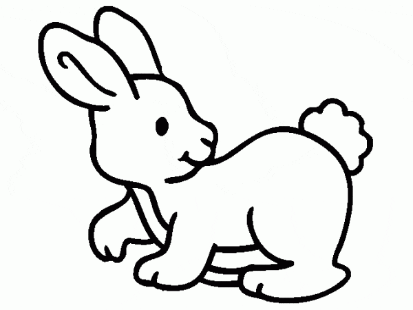 40 Desenhos de Coelhos para Colorir, Pintar e Imprimir - Online