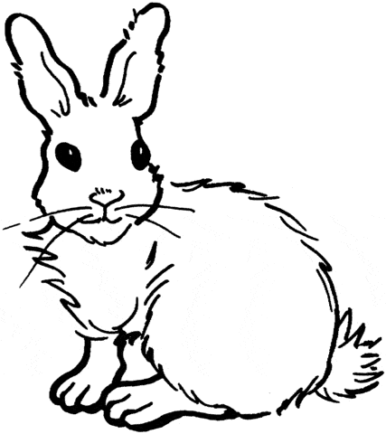 imagem de coelho simples para colorir