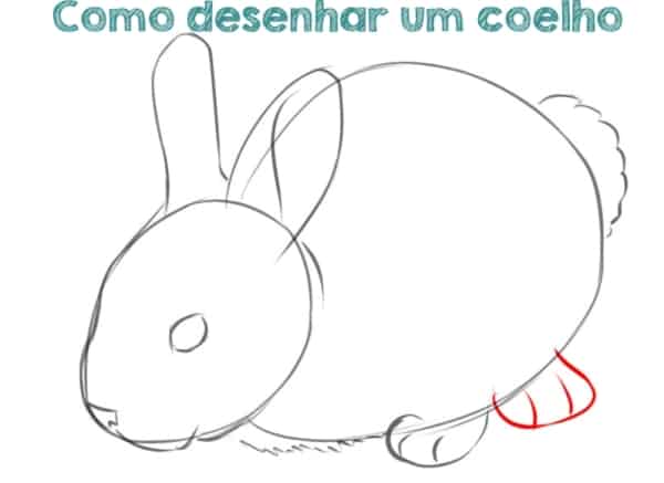  Qualquer pessoa pode desenhar coelhinhos: Tutorial de