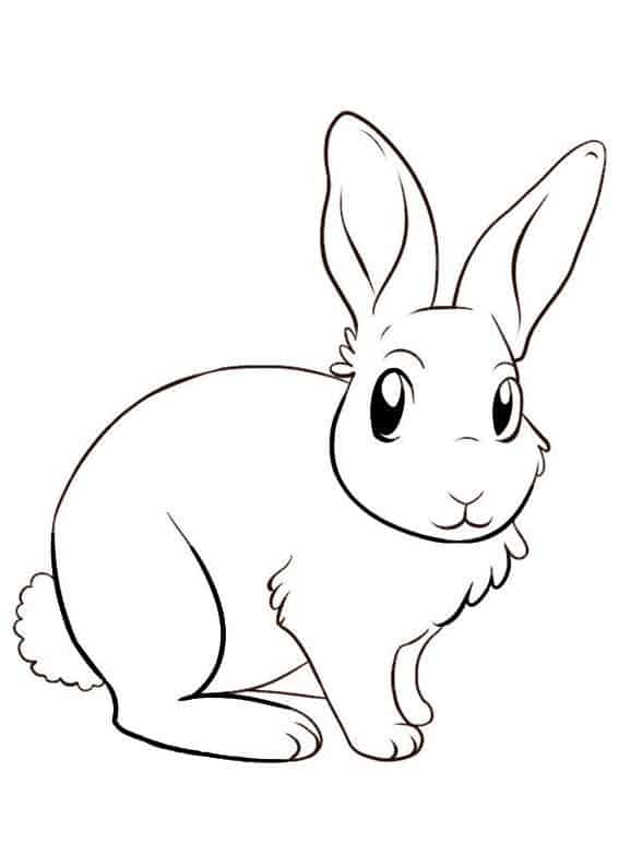 desenho de coelho para copiar