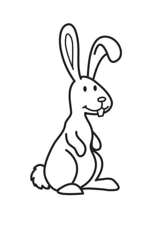 desenho fácil de coelho