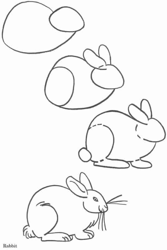 Desenhos fáceis coelho