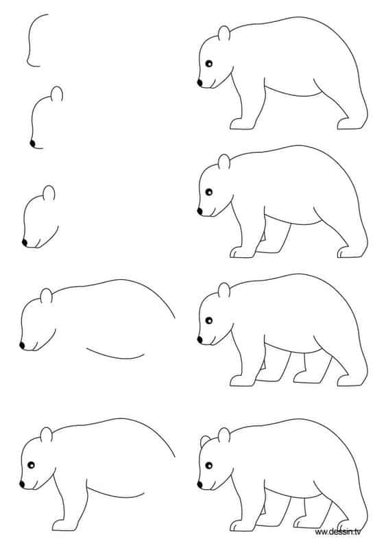 Desenhos fáceis urso