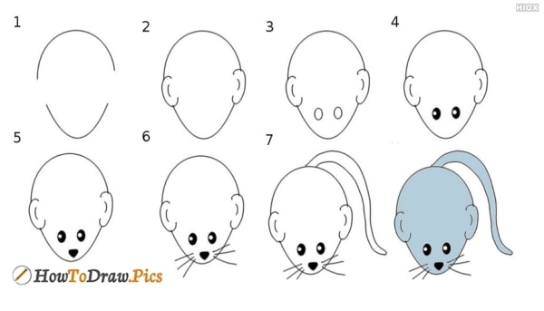 tutorial passo a passo de como desenhar um rato