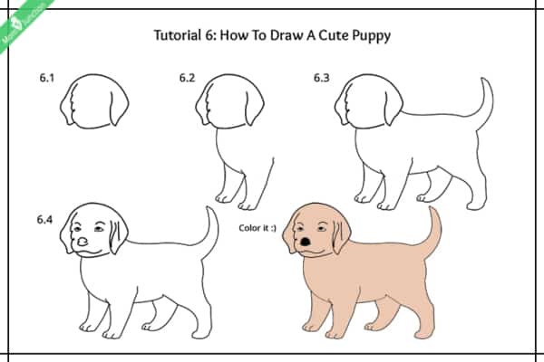Como desenhar um cachorro simples passo a passo