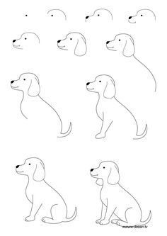 Tutorial: Como desenhar um cachorro fácil