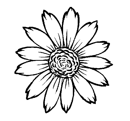 Flor de girassol para pintar