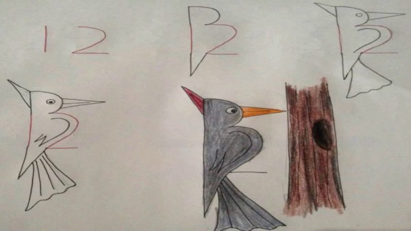 Como desenhar animais com números pica pau