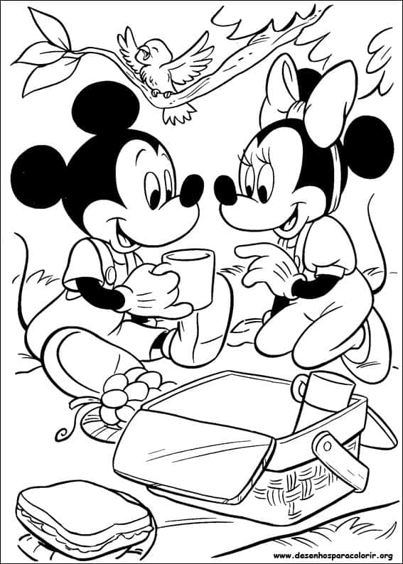 Mickey e Minnie fazendo Pique nique